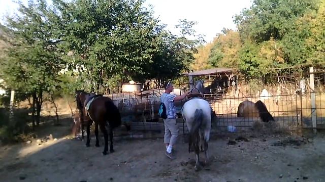 Прогулка на конях в Коктебеле (Walk on horseback in Koktebel) смотреть онлайн