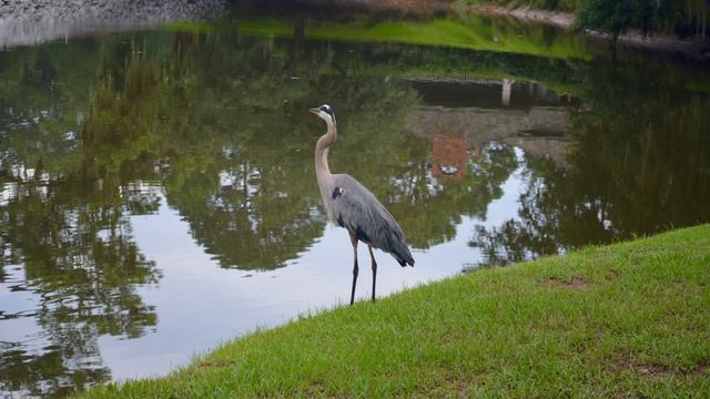 Nikon D5200 With AF-S DX VR Zoom-Nikkor 18-55mm F/3.5-5.6G Lens Samples