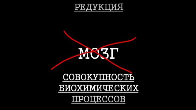 Магазин для псевдоинтеллектуалов [1/2] смотреть онлайн