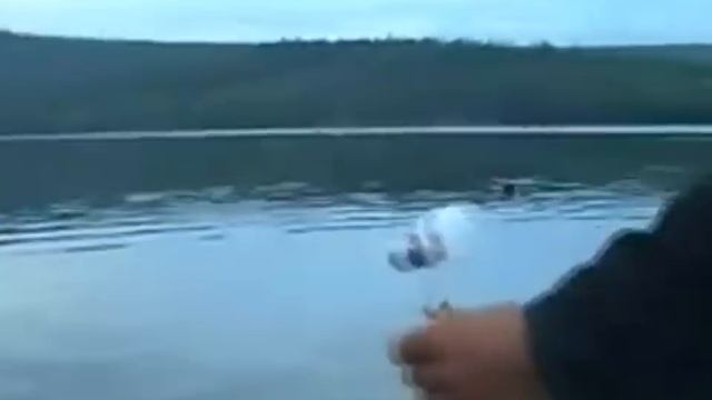 Ловим рыбу на лампочку смотреть онлайн