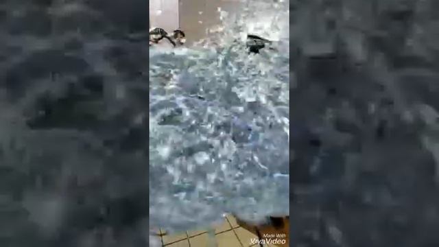 Мойка двигателя мазда 3 смотреть онлайн