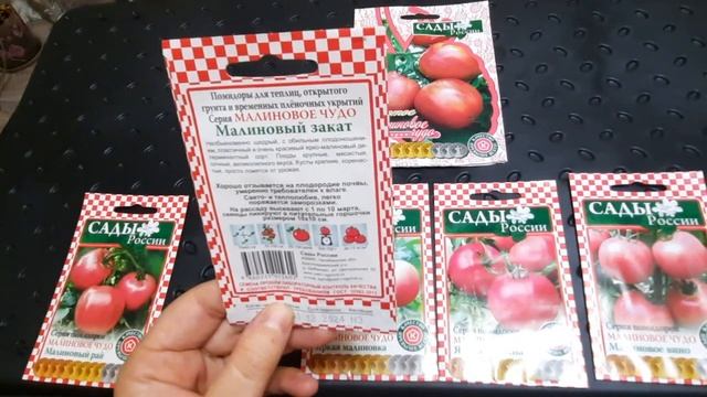 Помидоры на сезон 2022 г|Обзор Семян Помидор от Сады России|Мясистые томаты 2022| Вкусные помидор смотреть онлайн