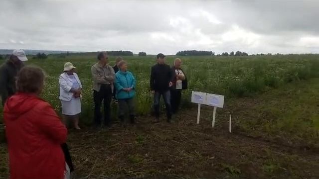Установление влияния различных приемов возделывания на качество зеленой массы эспарцета песчаного, смотреть онлайн
