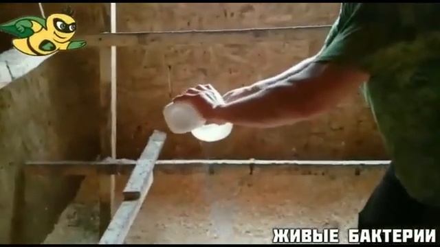 Живые бактерии. Инструкция по применению Скотный двор смотреть онлайн