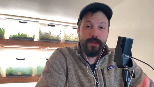 The Dry Start Method | Emersed Aquarium Plants - MOLD Control!!! смотреть онлайн