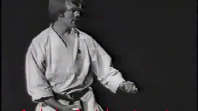 Sankaku Shotokan Karate Video 9 смотреть онлайн