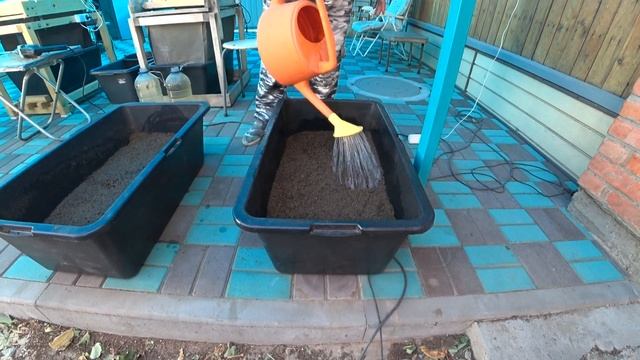 Почвенный клещ. Профилактика. Подготовка субстрата с МЕТАРИЗИНОМ. смотреть онлайн