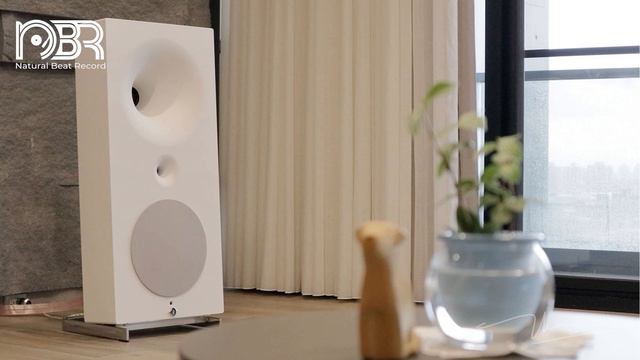 Hi Res Audio 32 Bit - Analogue Audiophile Collection - Audiophile NBR Music