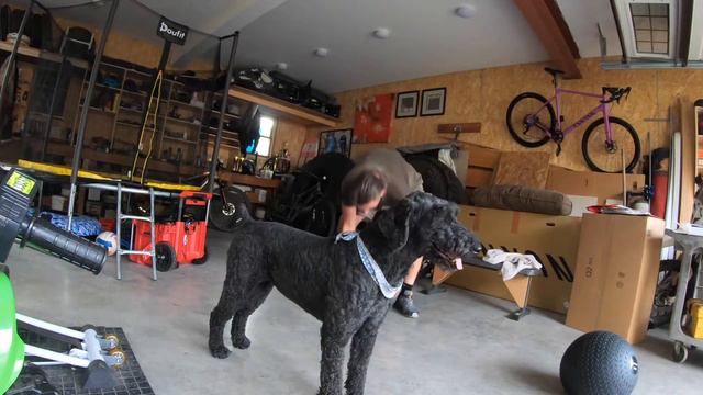 Ivan Milan Backyard Challenge - editor’s cut смотреть онлайн