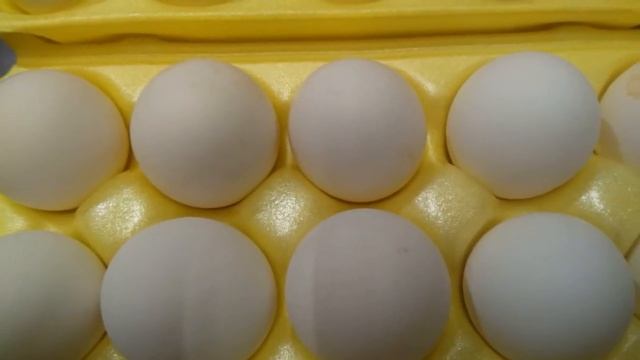 Реальная яйценоскость курицы за первый год жизни смотреть онлайн