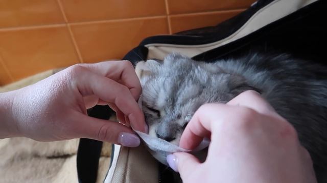 ОБМАНУЛИ В БЕСКОНТАКТНОЙ ДОСТАВКЕ смотреть онлайн