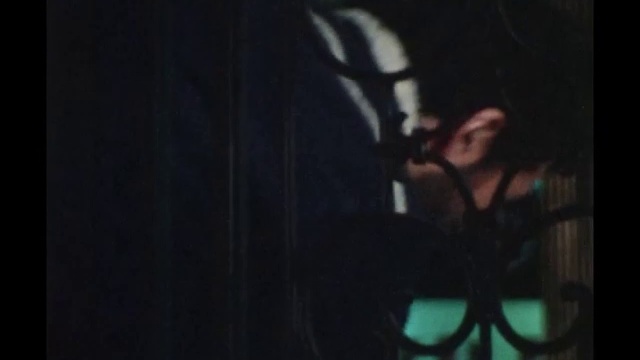 太陽にほえろ！ 第435話 スター смотреть онлайн