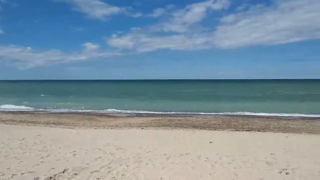 №107 Посёлок Лесной Балтийское побережье Май 2020 г. смотреть онлайн