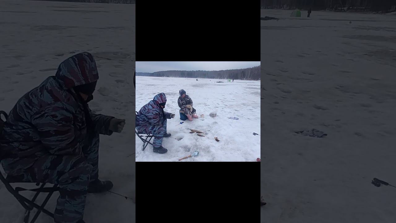 Ребенок учит ловить рыбу старых рыбаков. помощь рыбакам #рыбалка 2024 #север #снежинск #палатка смотреть онлайн