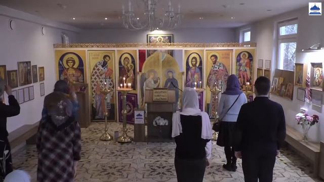 Литургия. Бессребреников и чудотворцев Космы и Дамиана. 14.11.2020