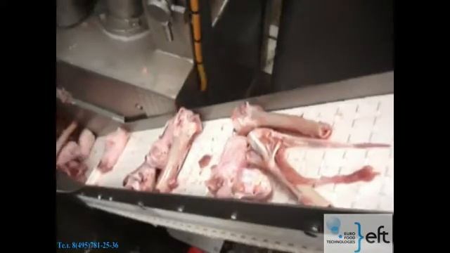 STEEN (Стин) Универсальная машина для обвалки индейки ST850 голень.mp4 смотреть онлайн