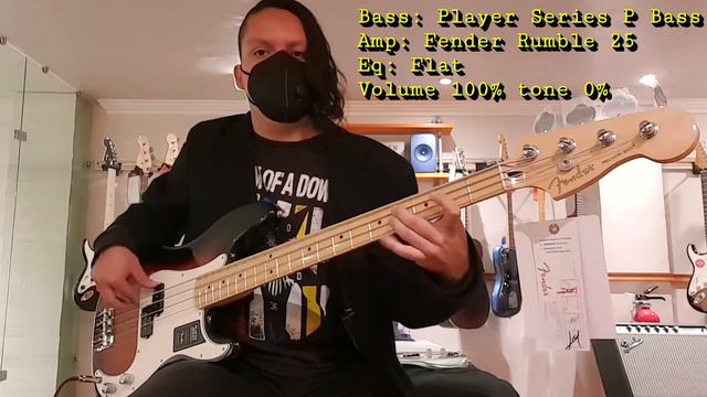 Fender Precision Bass Comparison| American Professional II Vs. Player Series! смотреть онлайн