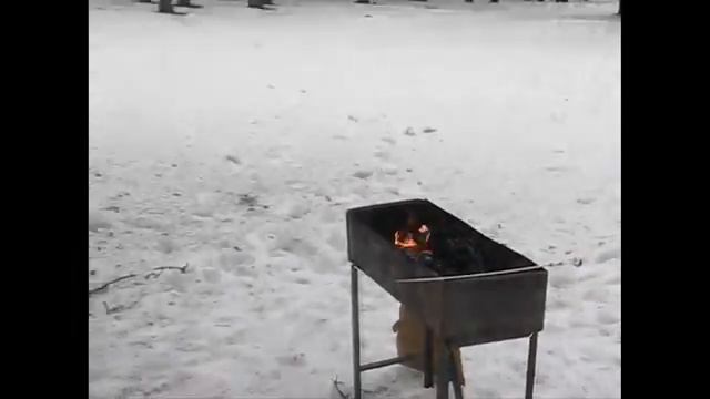 встреча форестер клуба 21 марта 2010 года смотреть онлайн