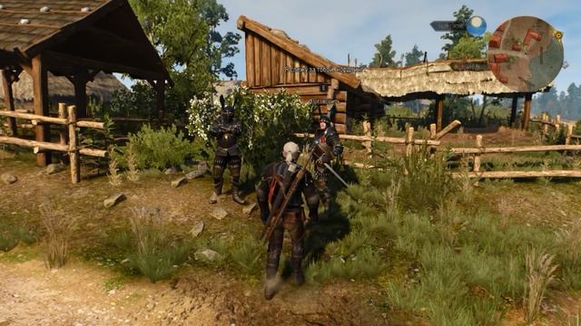 Ведьмак 3. Что будет, если выбрать Роше? Белый Сад в свободной Темерии смотреть онлайн