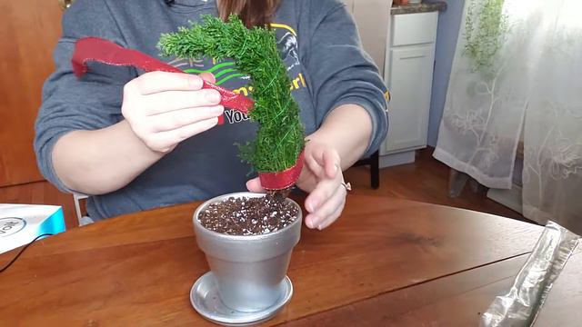 How to Make a Grinch Tree | Dr. Seuss Christmas Tree | Graceful Plants смотреть онлайн