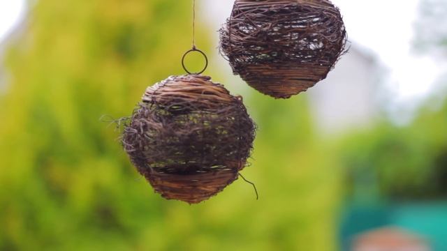 10 ПРОСТЫХ СПОСОБОВ ВЕСТИ ЗДОРОВЫЙ ОБРАЗ ЖИЗНИ БЕЗ ЗАТРАТ смотреть онлайн