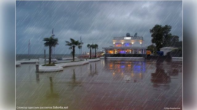 НАТАЛЬЯ ЗЕНКОВА - НАВЕЯННОЕ ДОЖДЁМ Стихи - Виктор Семенюк Муз - Наталья Зенкова III смотреть онлайн