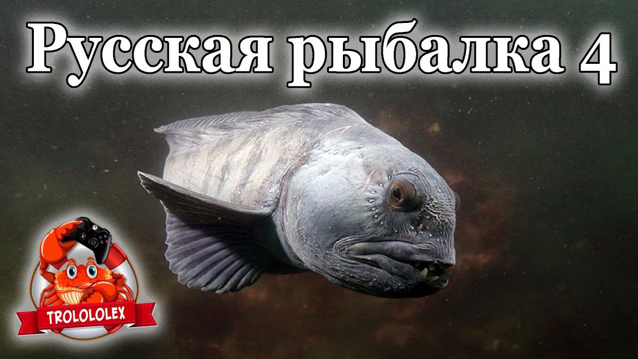 Русская рыбалка 4. Вечерний лайт и ловля на Норвежском море смотреть онлайн