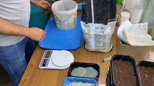 Зачем нужен прижим Микрозелени? | Как сделать своими руками? | Народные Семена