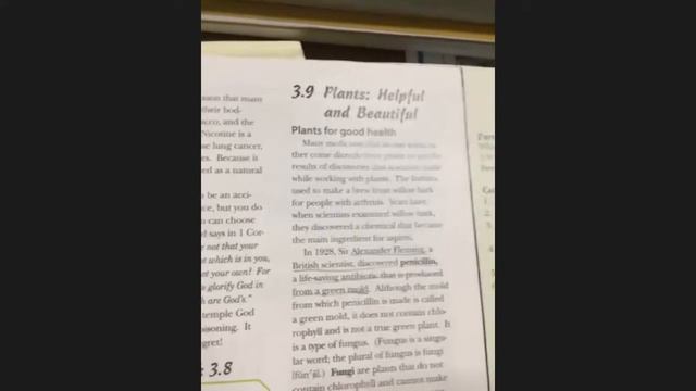 Helpful Plants смотреть онлайн