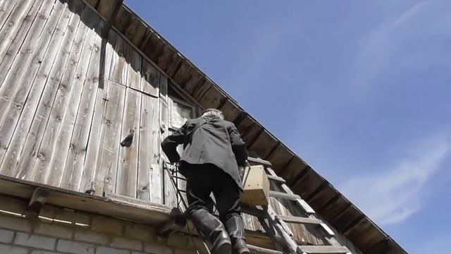 Приехали в Потеряевку . Обутому в машине не поместиться. 02. 06. 2018 смотреть онлайн