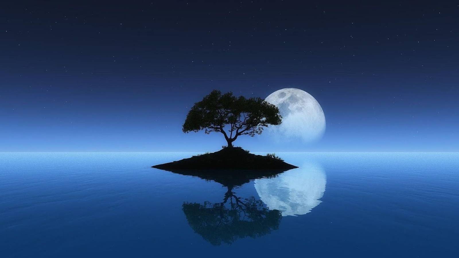 Relaxing Meditation Music смотреть онлайн