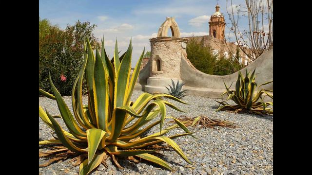 30. Королевская дорога Камино Реал . Мексика смотреть онлайн