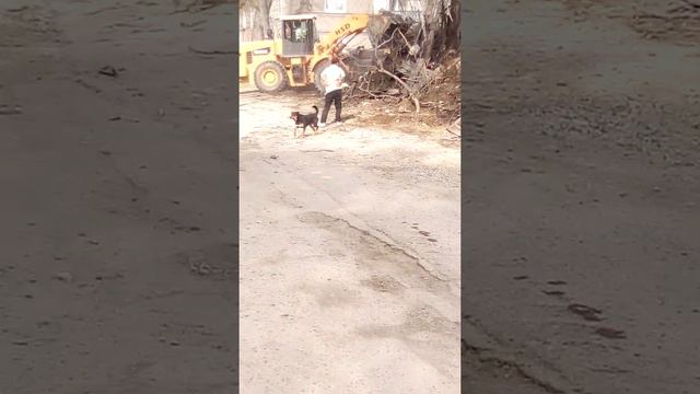 Снос дома, жаль что не полностью засняла, там такие кадры....)) Именно жесть* смотреть онлайн