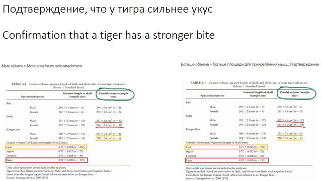 СИЛА УКУСА ТИГРА И ЛЬВА смотреть онлайн