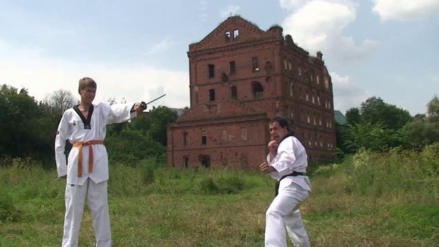 ЭРИДАН - Демонстрационная техника - Taekwondo Eridan смотреть онлайн