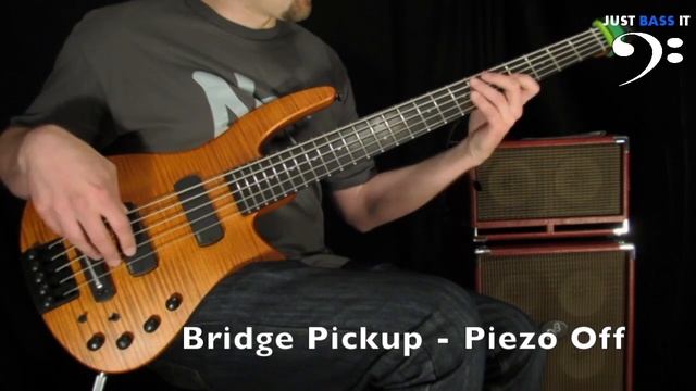 NS Design CR5 Radius Fretted Demo - Just Bass It смотреть онлайн