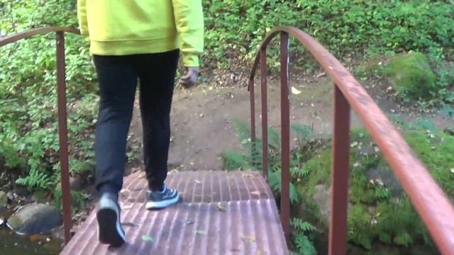 Трутнево. Гдовский район Псковской области. 09.09.2022. смотреть онлайн