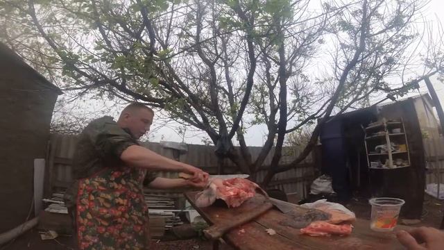 Наука о Животных и их Поведение