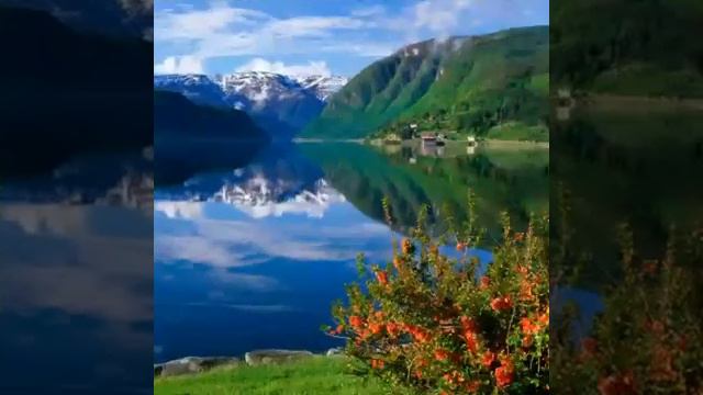 RONALD ACOSTA "VERBENA " смотреть онлайн