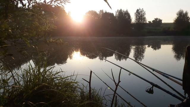 Рыбалка любит тишину. Звуки природы на рыбалке смотреть онлайн