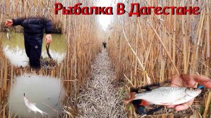 Нашли С Ибрагимом Отличное Места Для Рыбалки - Рыбалка в Дагестане