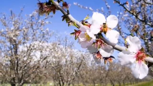 Очень красивый стих ,,ВЕСНА,, смотреть онлайн