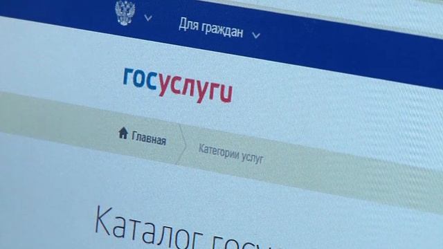 Азам пользования госуслугами онлайн обучают граждан из особых категорий в Биробиджане смотреть онлайн