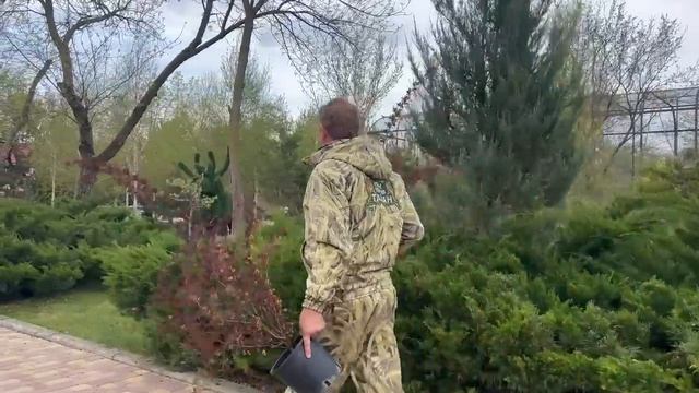 Как посадить 100 000 деревьев в год и украсить землю на которой ты живешь? Олег Зубков ЗНАЕТ! смотреть онлайн