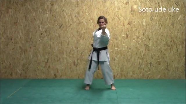 Karaté : Blocages (uke) - SF Karate Training смотреть онлайн
