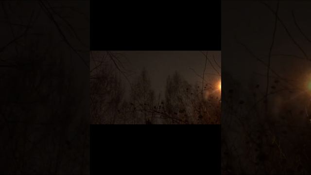 С днём рождения любимый внук!? смотреть онлайн