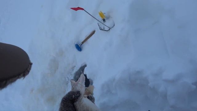 Рыбалка на жерлицы 2020. Yakutia смотреть онлайн