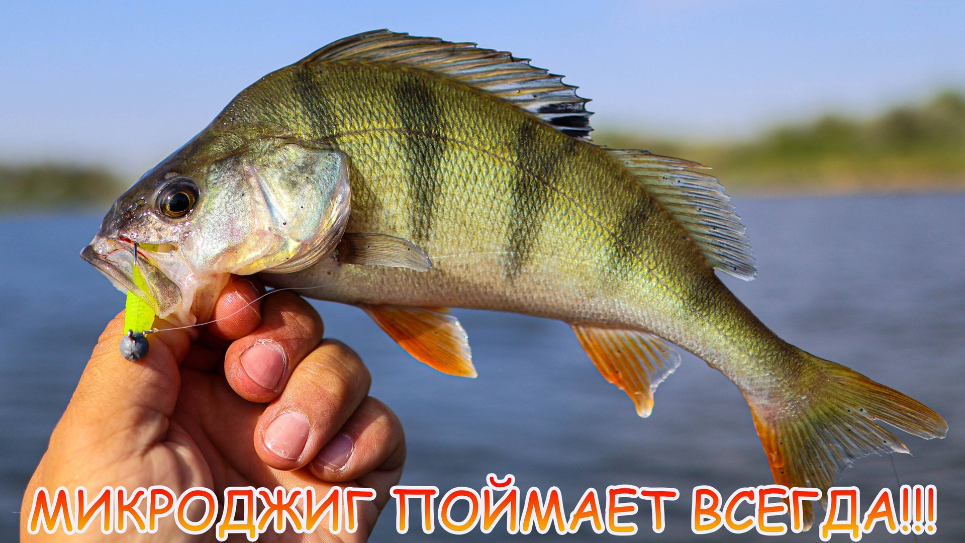 Микроджиг поймает всегда! Судаки, окуни, щуки любят МДЖ!!! смотреть онлайн