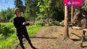 Катания на лошадях в  Москве и Подмосковье: Экстремальные развлечения Агентства Экстрима АХАА.