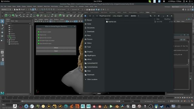 Xgen To Unreal Groom Alembic Export Python Scirpt смотреть онлайн